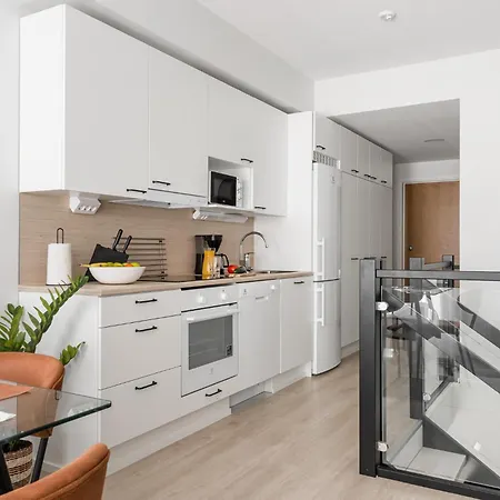 Apartament Borg Loft *