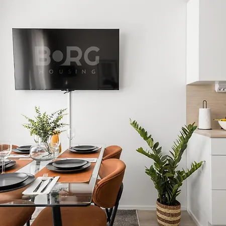 Apartament Borg Loft *